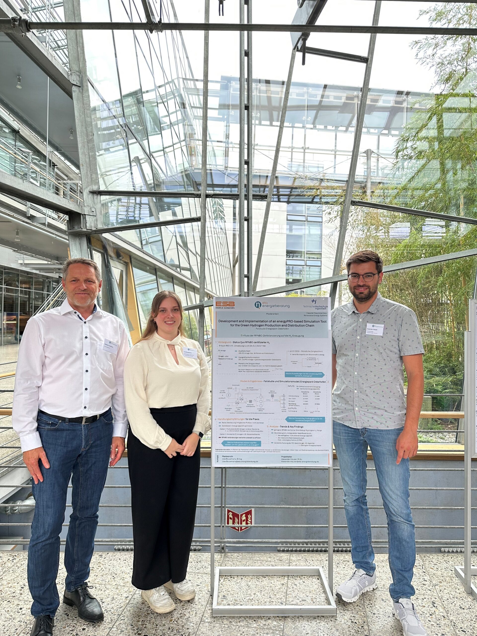 Lisa's Masterarbeitsposters